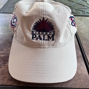 AHead Disney Palms golf hat tan mid fit